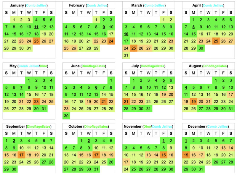 2025 Florida Bioluminescence Moon Calendar